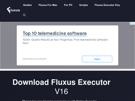 How to Put Script in Fluxus Mobile Executer 
