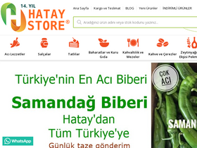 'hataystore.com' screenshot