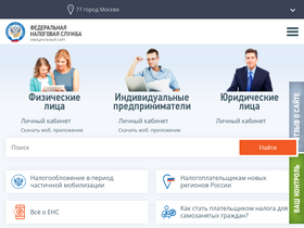'npchk.nalog.ru' screenshot