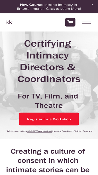 idcprofessionals.com