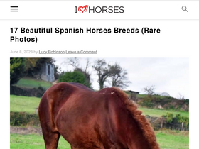 'ihearthorses.com' screenshot