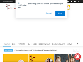 'bilimsenligi.com' screenshot