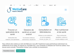 welliecare.com