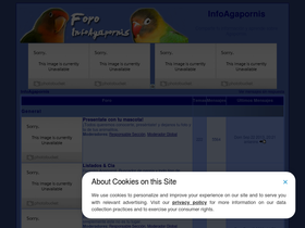 infoagapornis.foroactivo.com