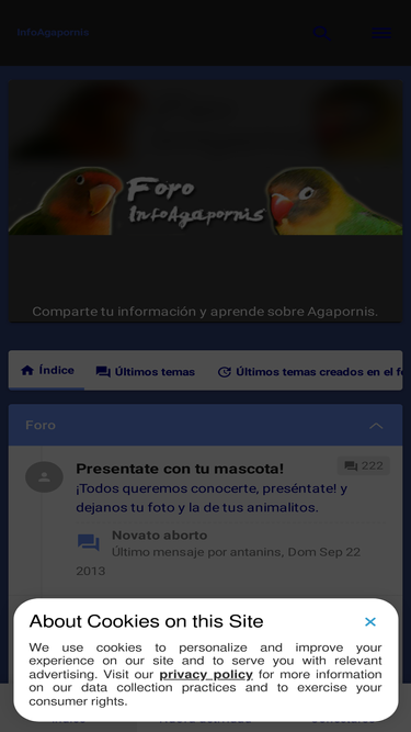 infoagapornis.foroactivo.com