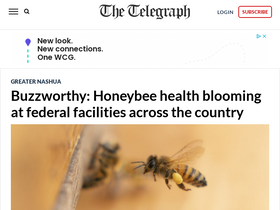 'nashuatelegraph.com' screenshot