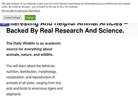 'thedailywildlife.com' screenshot