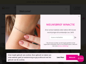 'zinzi.nl' screenshot