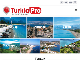 'turkiapro.ru' screenshot