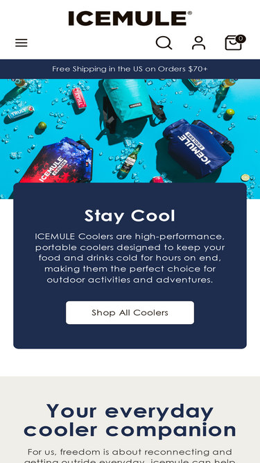 icemulecooler.com