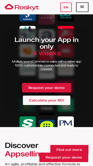reskyt.com