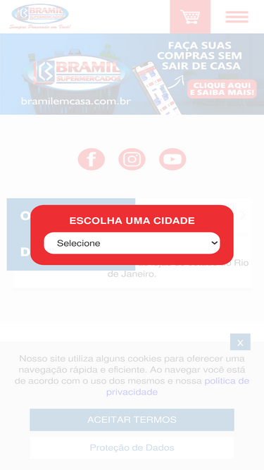 bramil.com.br