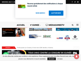 'mediaguinee.org' screenshot