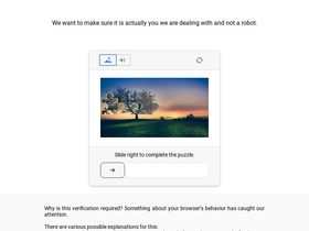 'renefurtererusa.com' screenshot
