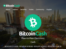 'bitcoincash.org' screenshot