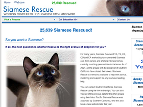 siameserescue.org