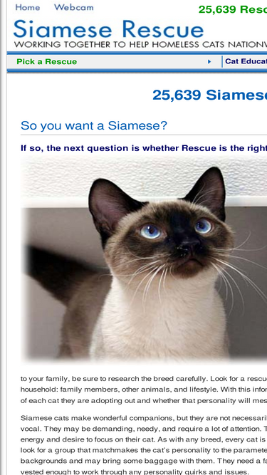 siameserescue.org