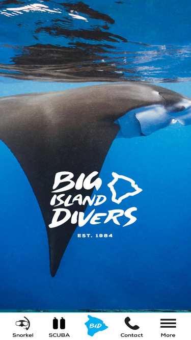 bigislanddivers.com