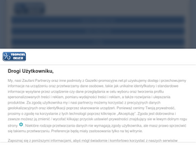 'gazetki-promocyjne.net.pl' screenshot