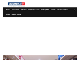 vibizmedia.com