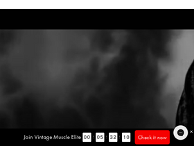 'vintage-muscle.com' screenshot