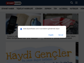 'diyanethaber.com.tr' screenshot