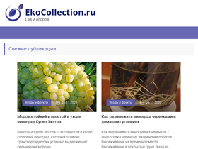 ekocollection.ru