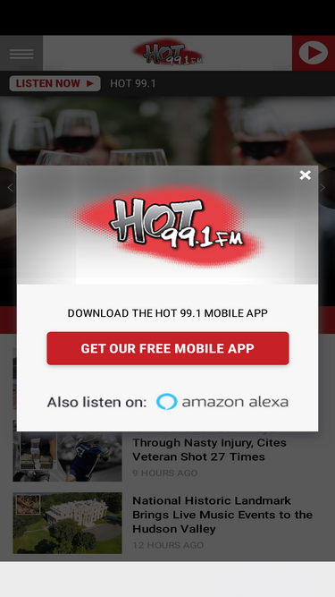 hot991.com