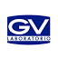 gvlaboratorio.com