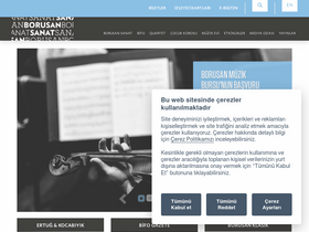 borusansanat.com