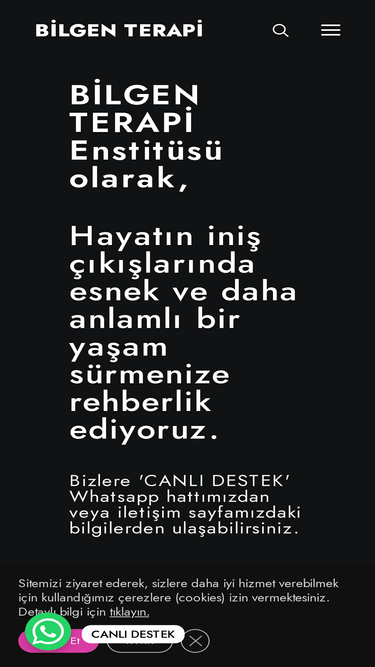 bilgenterapi.com