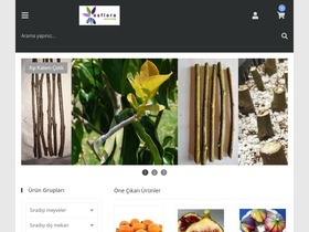 'esfloraonline.com' screenshot