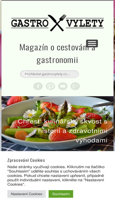 gastrovylety.cz