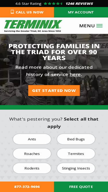terminix-triad.com