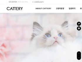 cattery.co.kr