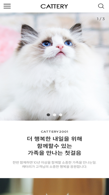 cattery.co.kr