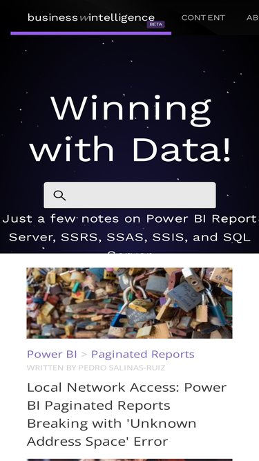 businesswintelligence.com