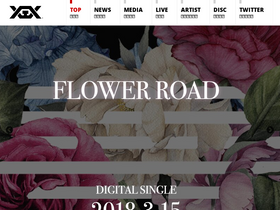 'ygex.jp' screenshot