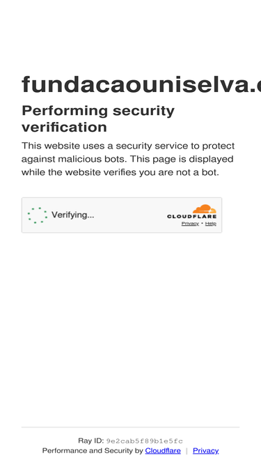 fundacaouniselva.org.br