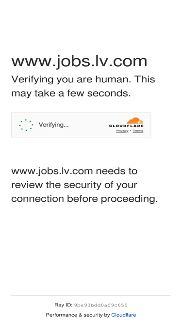 jobs.lv.com