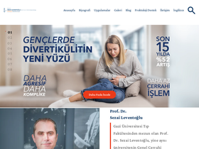 'sezaileventoglu.com' screenshot