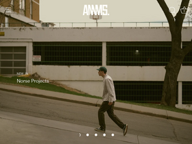 'annmsshop.com' screenshot