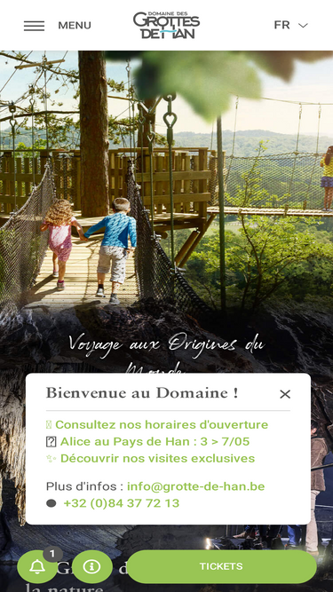 grotte-de-han.be