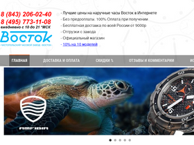 'vostokwatch.ru' screenshot