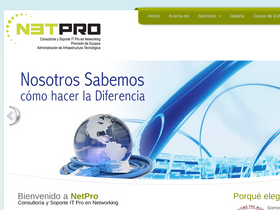 netpro-ar.com