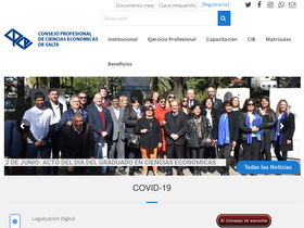 'consejosalta.org.ar' screenshot