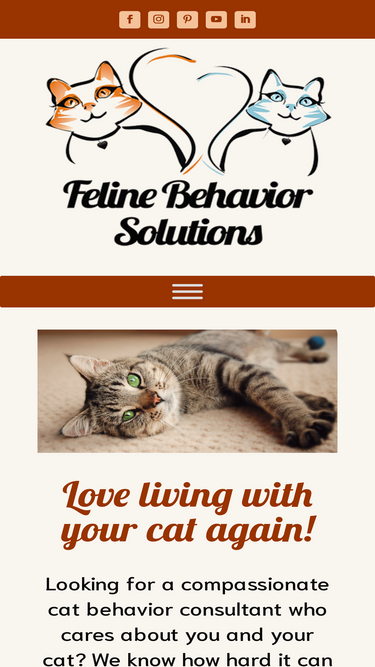 felinebehaviorsolutions.com