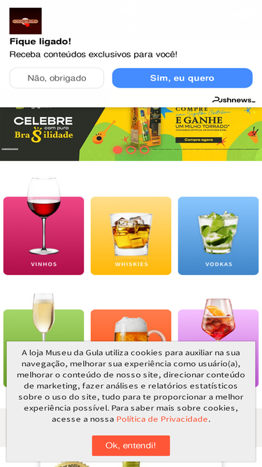 lojamuseudagula.com.br