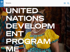 tz.undp.org