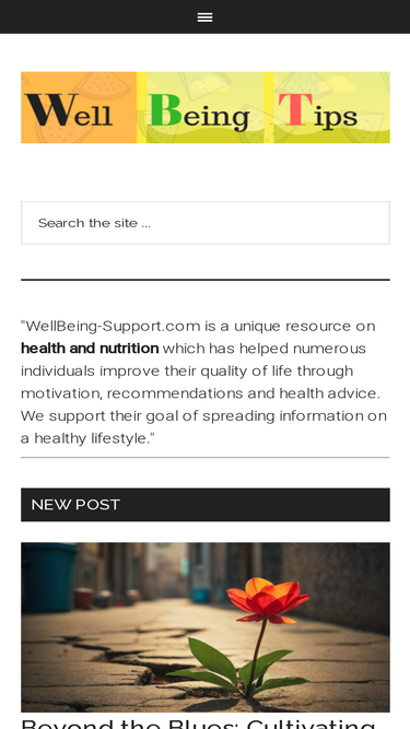 wellbeing-support.com